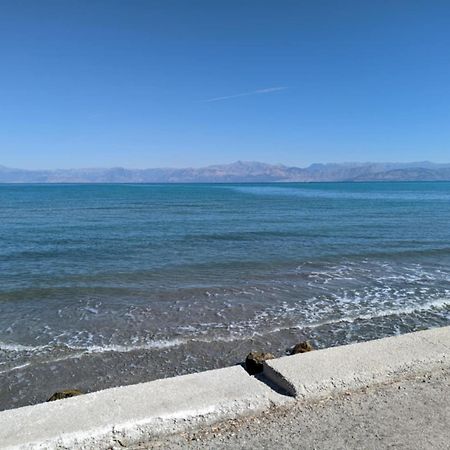 Dolphin Apt & Studios -Next To The Beach روذا المظهر الخارجي الصورة