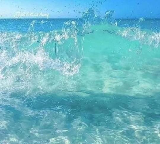 Dolphin Apt & Studios -Next To The Beach روذا المظهر الخارجي الصورة