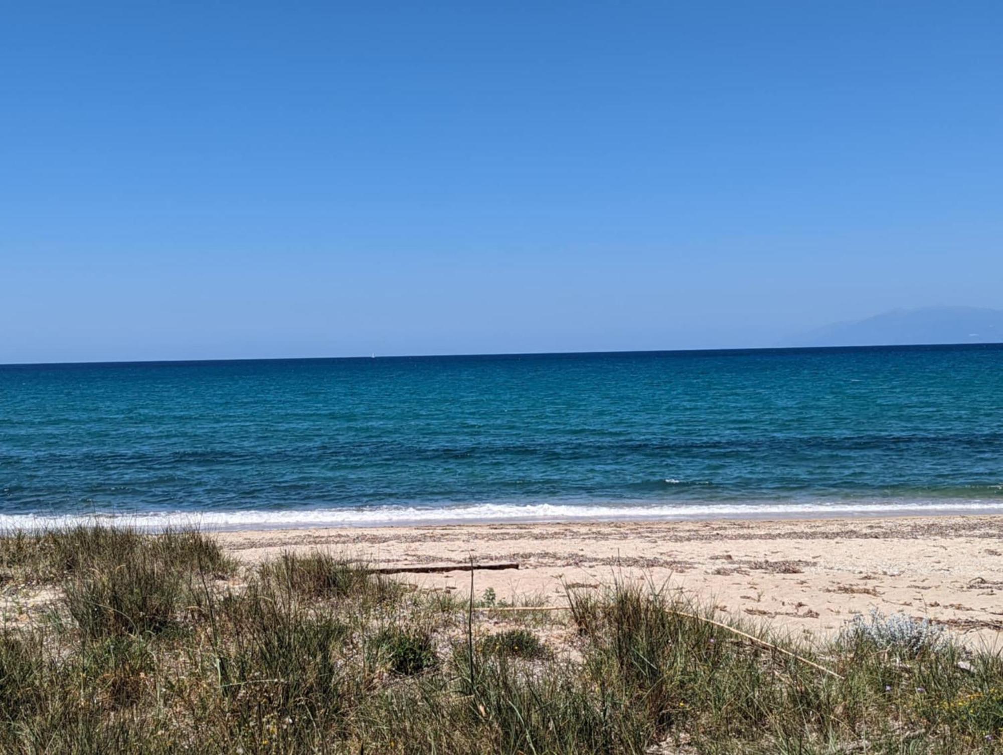 Dolphin Apt & Studios -Next To The Beach روذا المظهر الخارجي الصورة